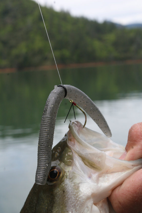 Most Anglers Use The Wrong Size Of Hooks In Their Soft Plastics… 