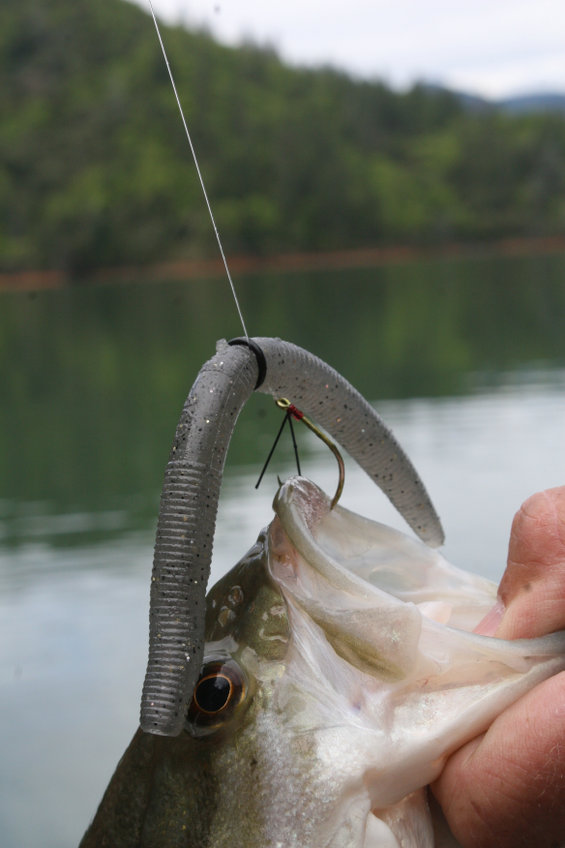 Drop-Shot-Rigs-for-Bass-Fishing-Soft-Plastic-Lures-Worm Fishing