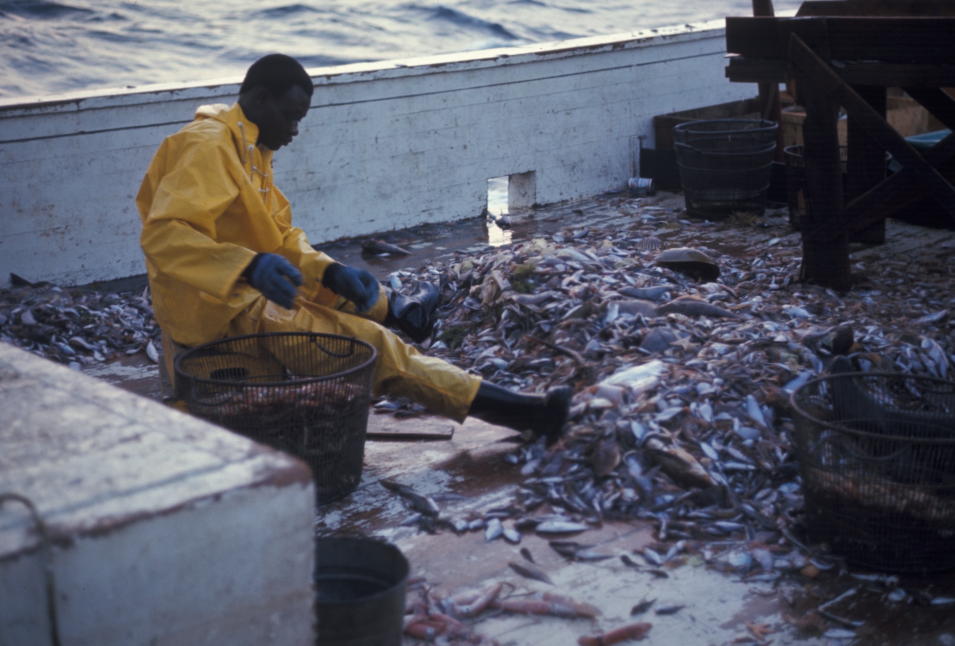 A commercial fisherman in a yellow rainsuit sits on the deck of a fishing boat with thousands of fish spewed in front of him.