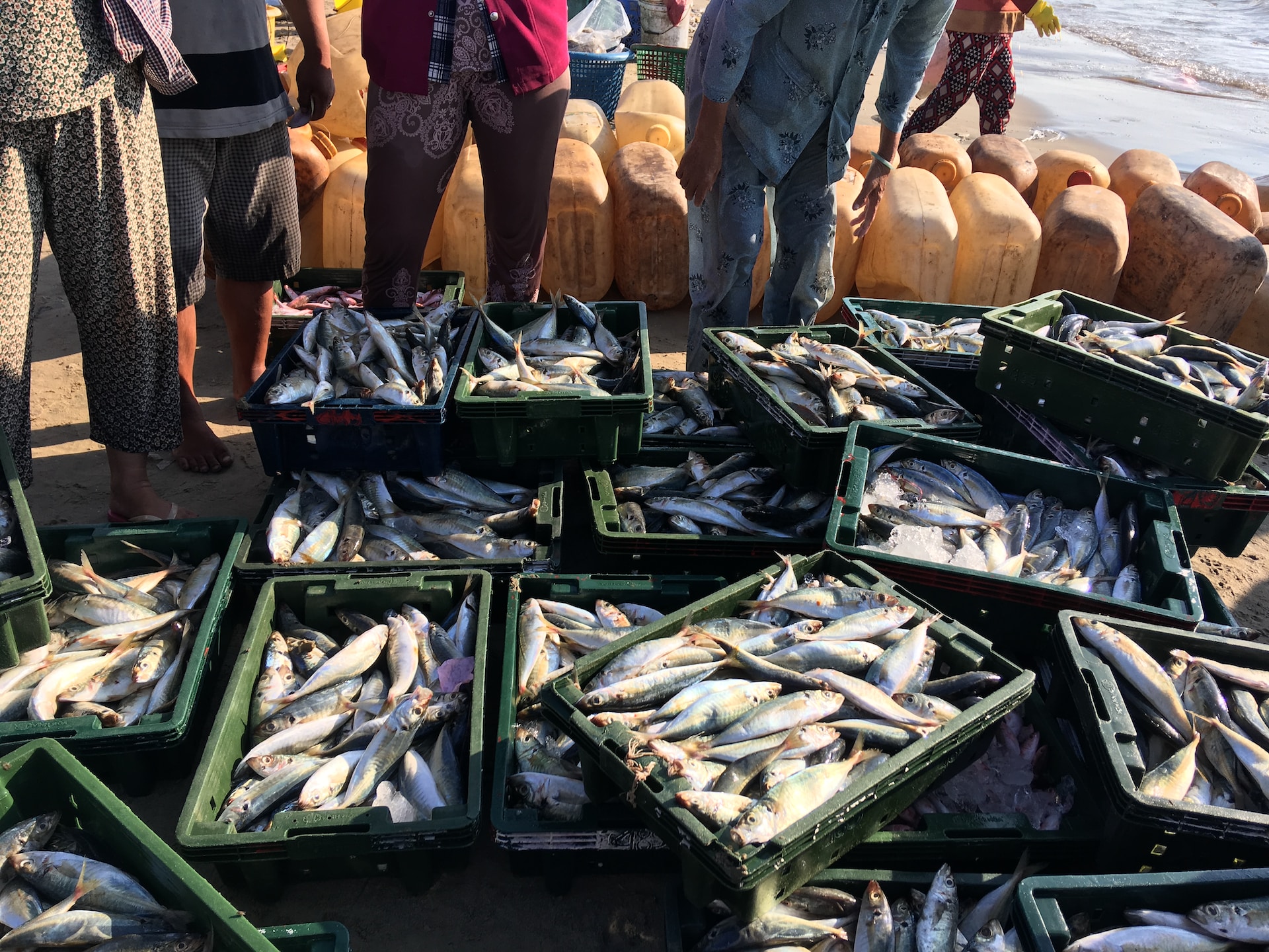 4 men glance at tens of crates of fish after being caught in a commercial fishing job.