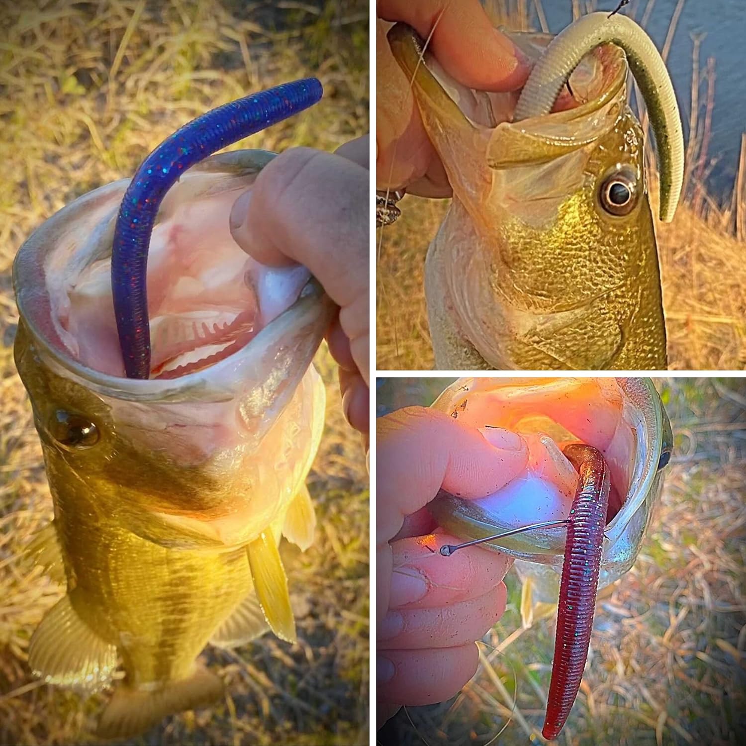 A variety of colorful rubber worms, perfect for pond fishing.